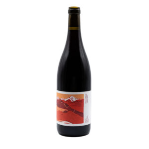Pinot Noir Vieilles vignes